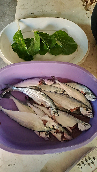 Cooking for today fish and petchay
